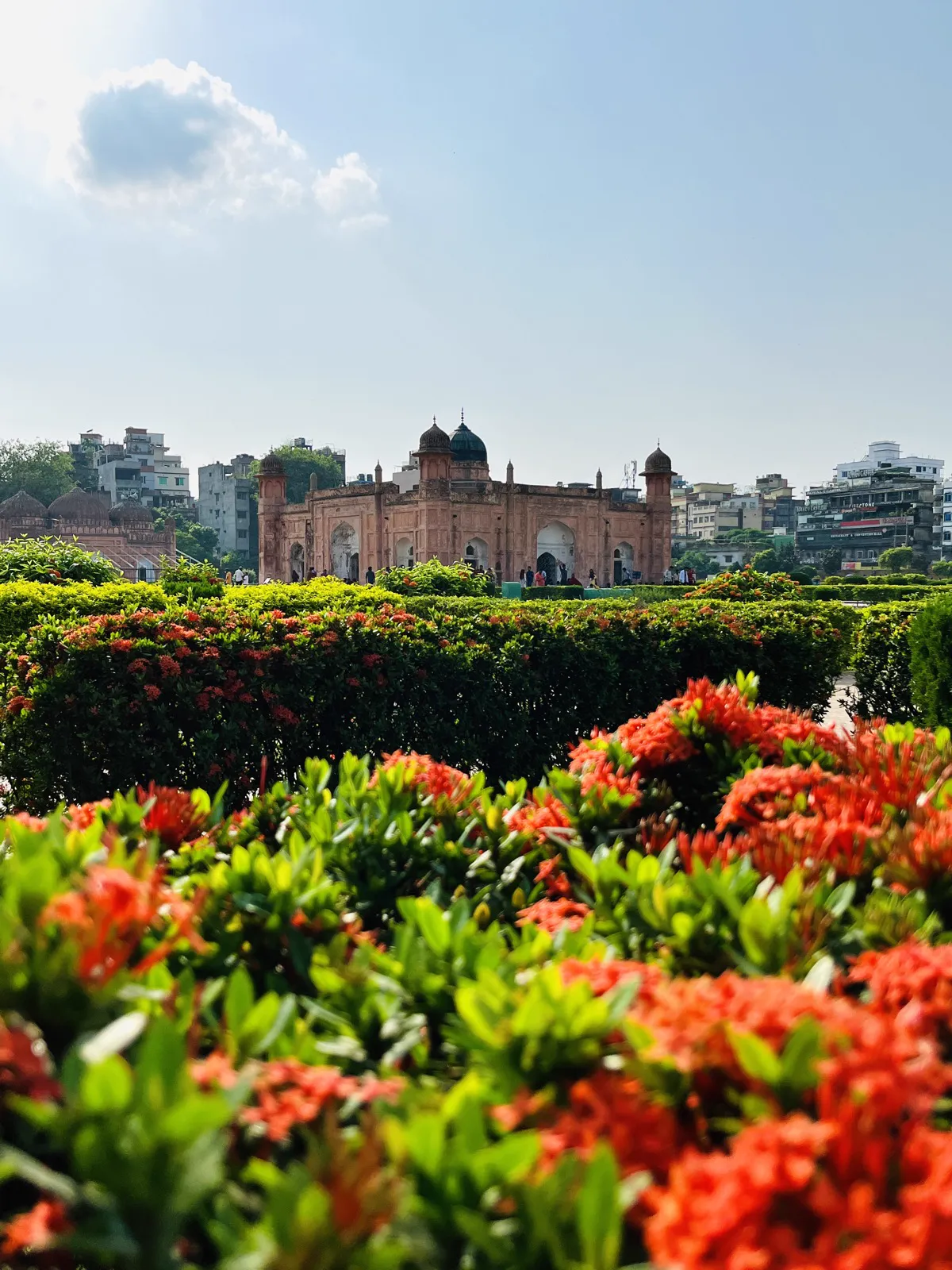 Lalbagh Fort Orange Blooms