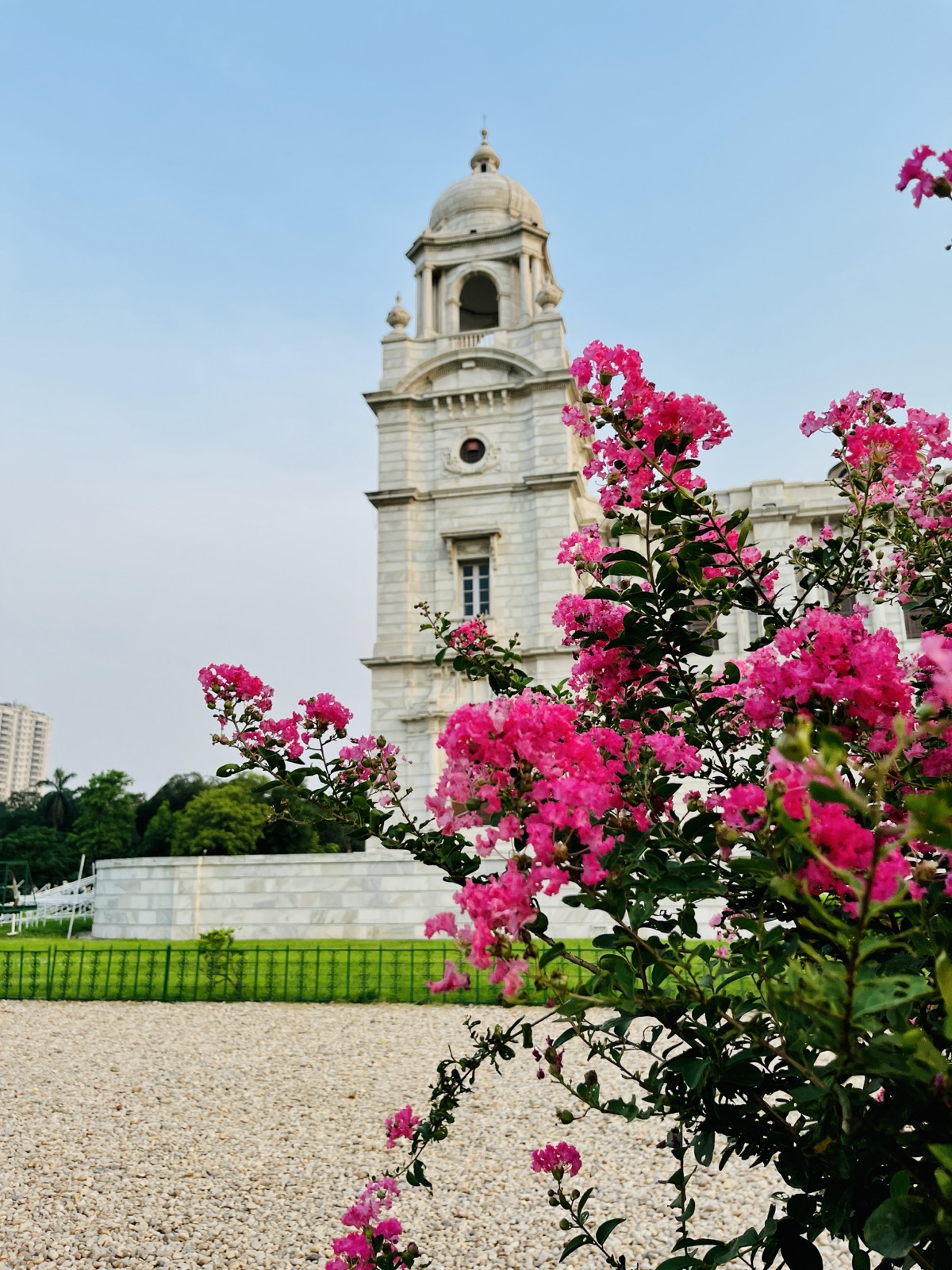 Victoria Memorial Crepe Myrtle