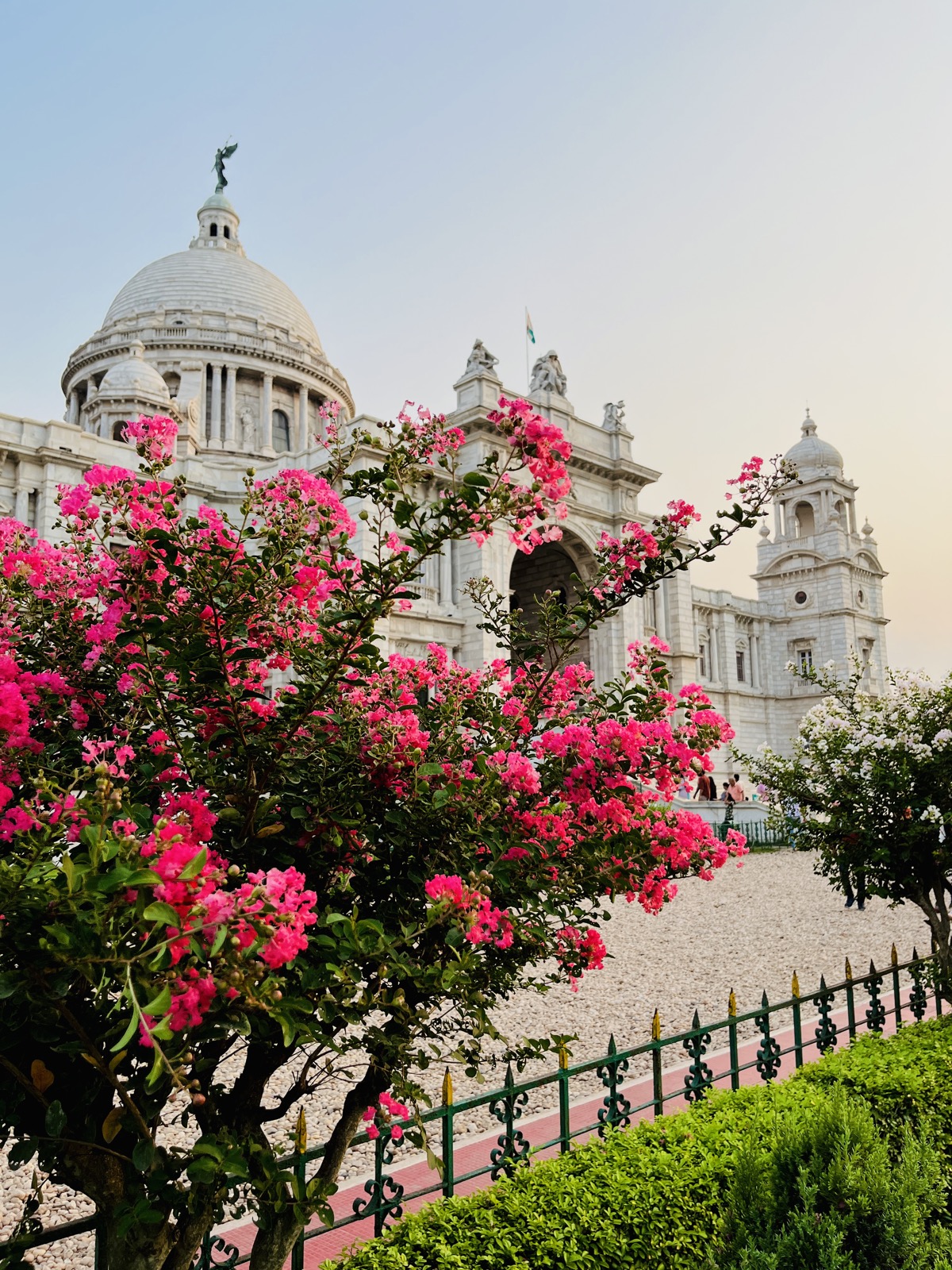 Victoria Memorial Pink Blossoms